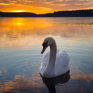 Auch wenn ich heute nur mein Handy bei mir hatte, war die Atmosph&auml;re einfach zu sch&ouml;n. #wildlife_perfection #bird_brilliance #nature_lovers #morningwalk #photograpy