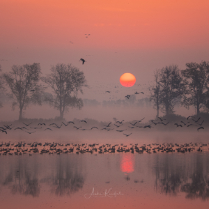 Ein perfekter Morgen 🙋&zwj;♀️